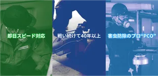 エイコクリカインタープログエアストィントイン